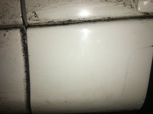 IMG_3065.JPG