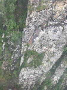 IMG_2936.JPG