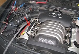 IMG_5958.JPG
