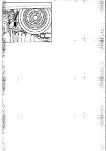 20090408125855498.JPG