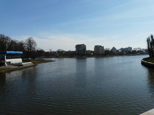 P1020008.jpg