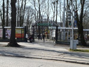 P1020010.jpg