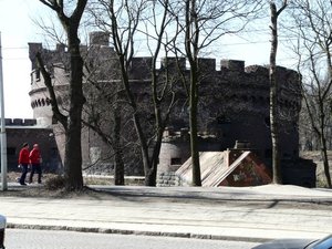 P1020015.jpg