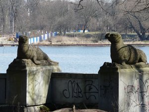 P1020017.jpg