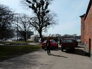 P1020031.jpg