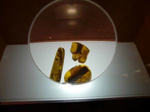P1020035.jpg