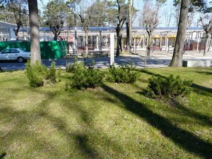 P1020067.jpg