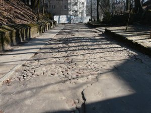 P1020100.jpg