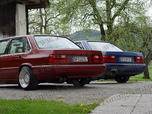 80_B2_rear.jpg