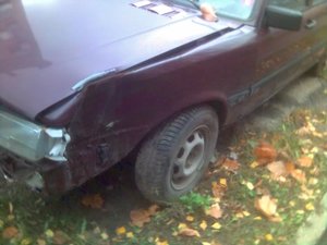 11-10-08_1153.jpg