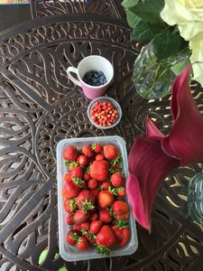 IMG-20170712-WA0004.jpg
