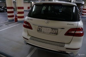 3639979210.jpg