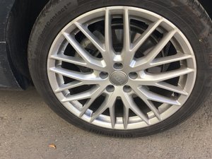 IMG_1236.JPG