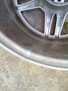 IMG_20170723_183041.jpg