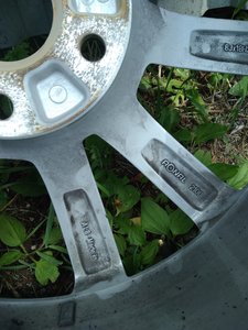 IMG_20170711_110416.jpg