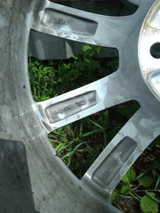 IMG_20170711_110424.jpg