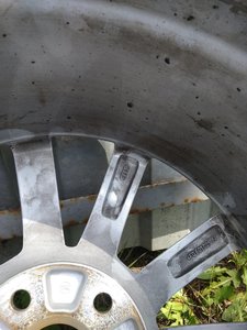 IMG_20170711_110430.jpg