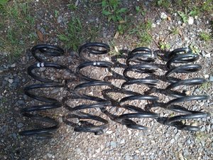 IMG_20170711_110724.jpg