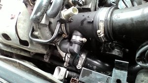 P_20170728_120110[1].jpg