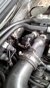 P_20170728_123501[1].jpg