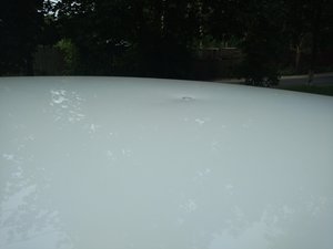 IMG_20170728_143829695.jpg