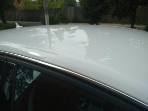 IMG_20170728_144038497.jpg