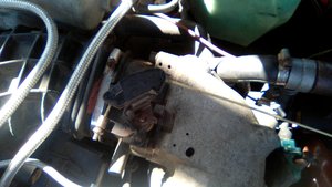 IMG_20170730_101333.jpg