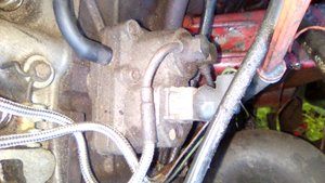 IMG_20170730_101405.jpg
