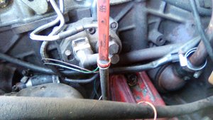IMG_20170730_103127.jpg
