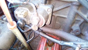 IMG_20170730_103147.jpg
