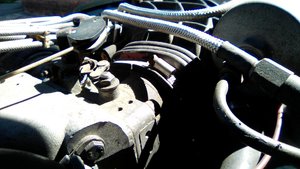 IMG_20170730_103219.jpg