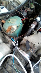 IMG_20170731_123048.jpg
