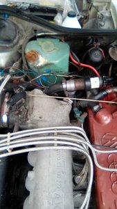 IMG_20170731_130543.jpg
