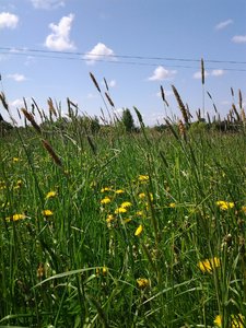 20160529_131202.jpg
