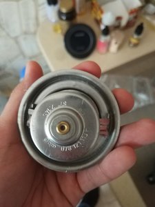 IMG_20170807_092946.jpg