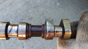 IMG_20170811_120124.jpg