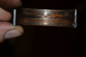 DSC_0103.JPG