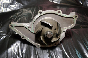 HEPUP562-01.jpg