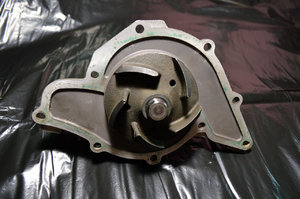 HEPUP562-02.jpg