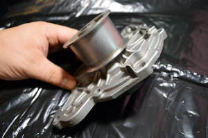 HEPUP562-03.jpg