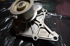HEPUP562-04.jpg