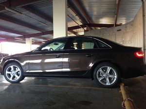 IMG_0536.JPG