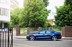 IMG_3213.JPG