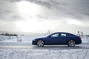 IMG_9724.jpg