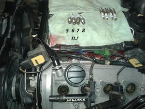 20170812_142448.jpg
