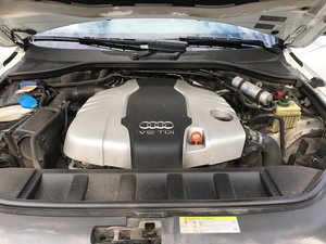 IMG_8895.JPG