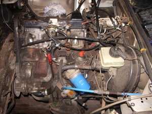 IMGP39891.jpg