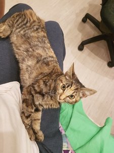 20170905_221856.jpg