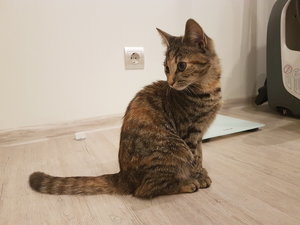 20170905_222530.jpg