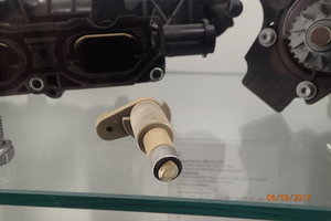 P9062966.JPG